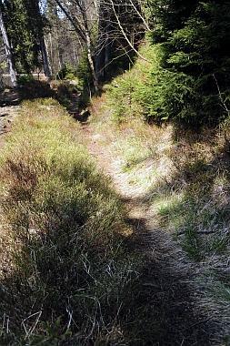 Silberteich bei Braunlage Oberharzer Wasserwirtschaft Bilder